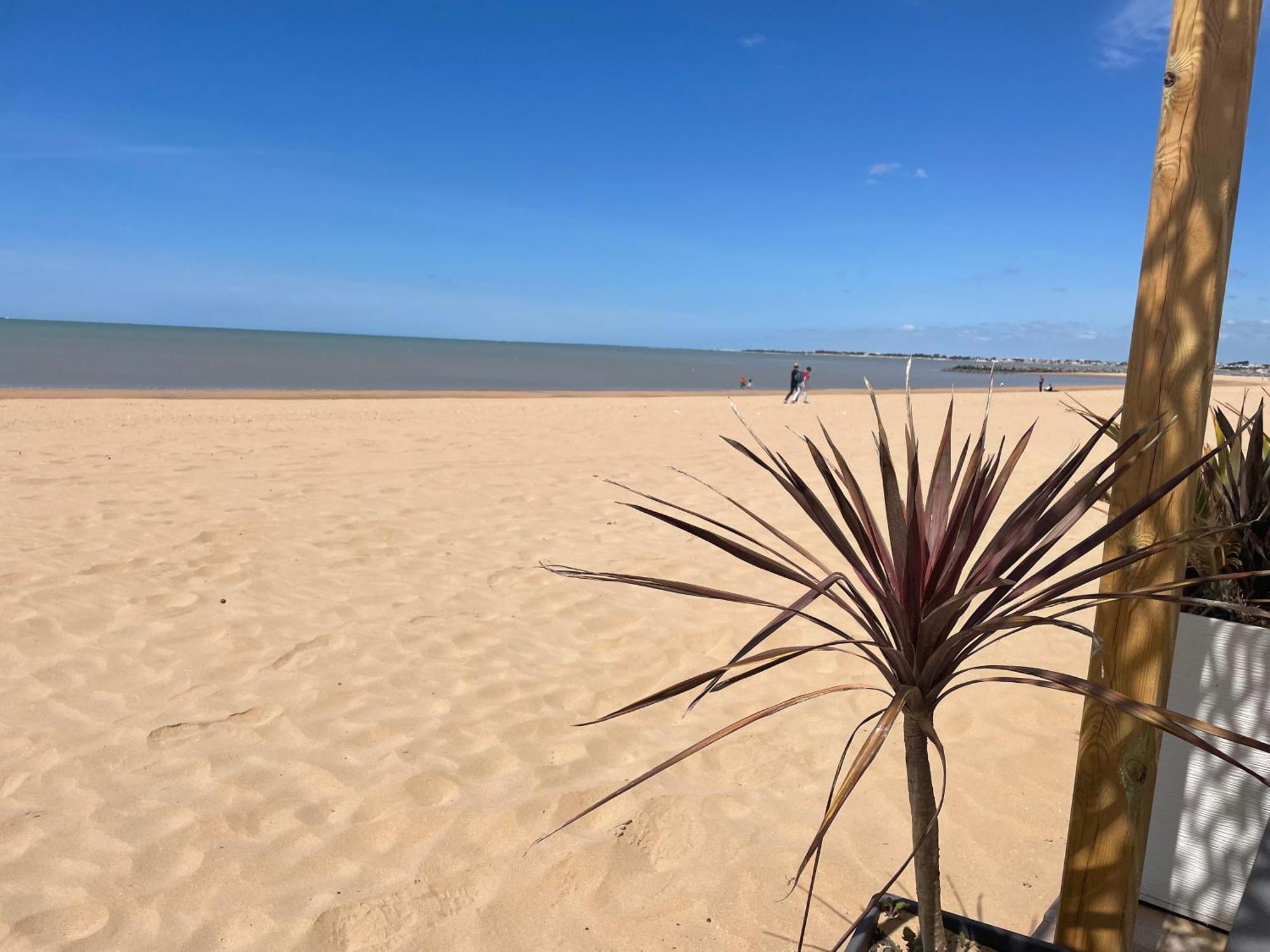 Acadie Saint Victor - Hotel Restaurant - Face Mer - Chatelaillon Plage 外观 照片